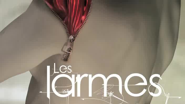 Vidéo "Les Larmes amères de Petra Von Kant" de R.W. Fassbinder, m.e.s. Y. Dacosta