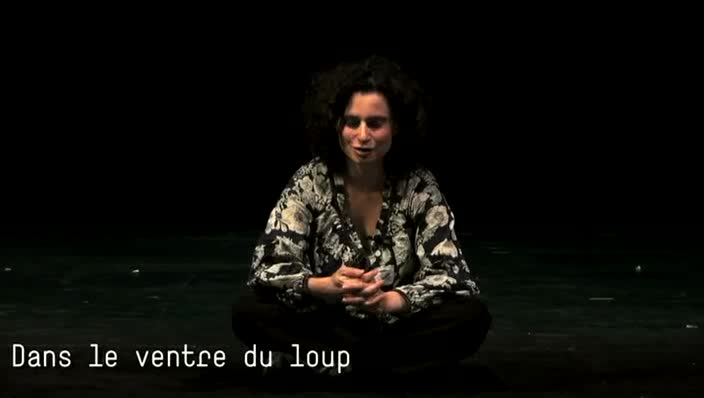 Vidéo "Dans le ventre du loup", présentation par Marion Lévy