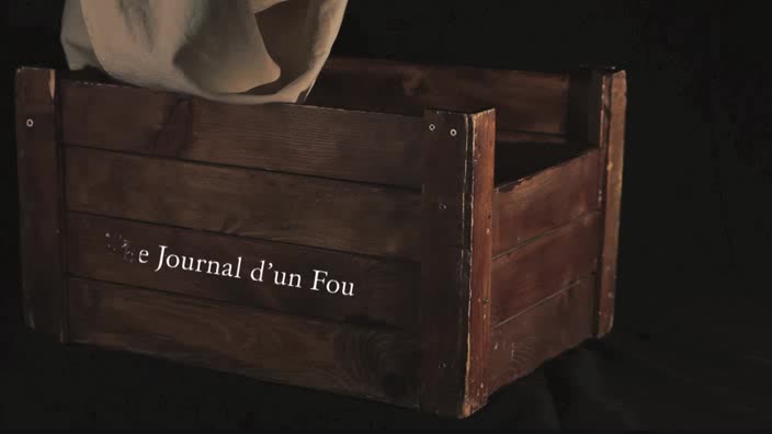 Vidéo "Le journal d'un fou", m.e.s. Bruno Dairou - Extraits, entretiens, ...