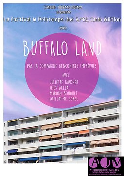 Illustration de Festival Le Printemps des Arts 2nde édition : Buffalo Land